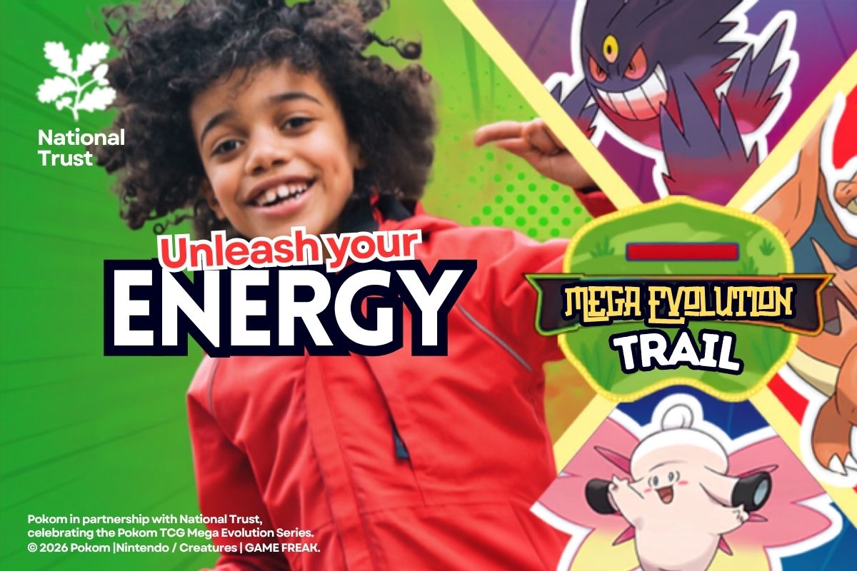 Pokémon TCG Mega Evolution Trail
