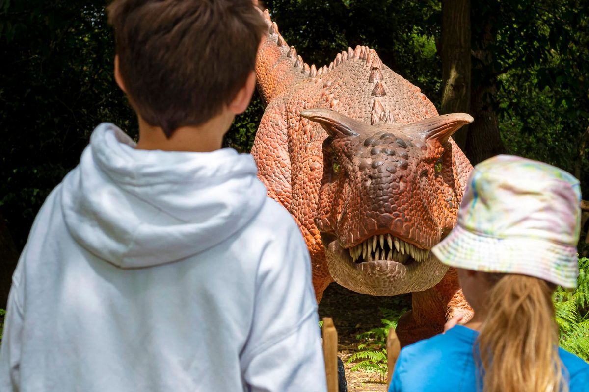 Save Money on Norfolk Family Days Out