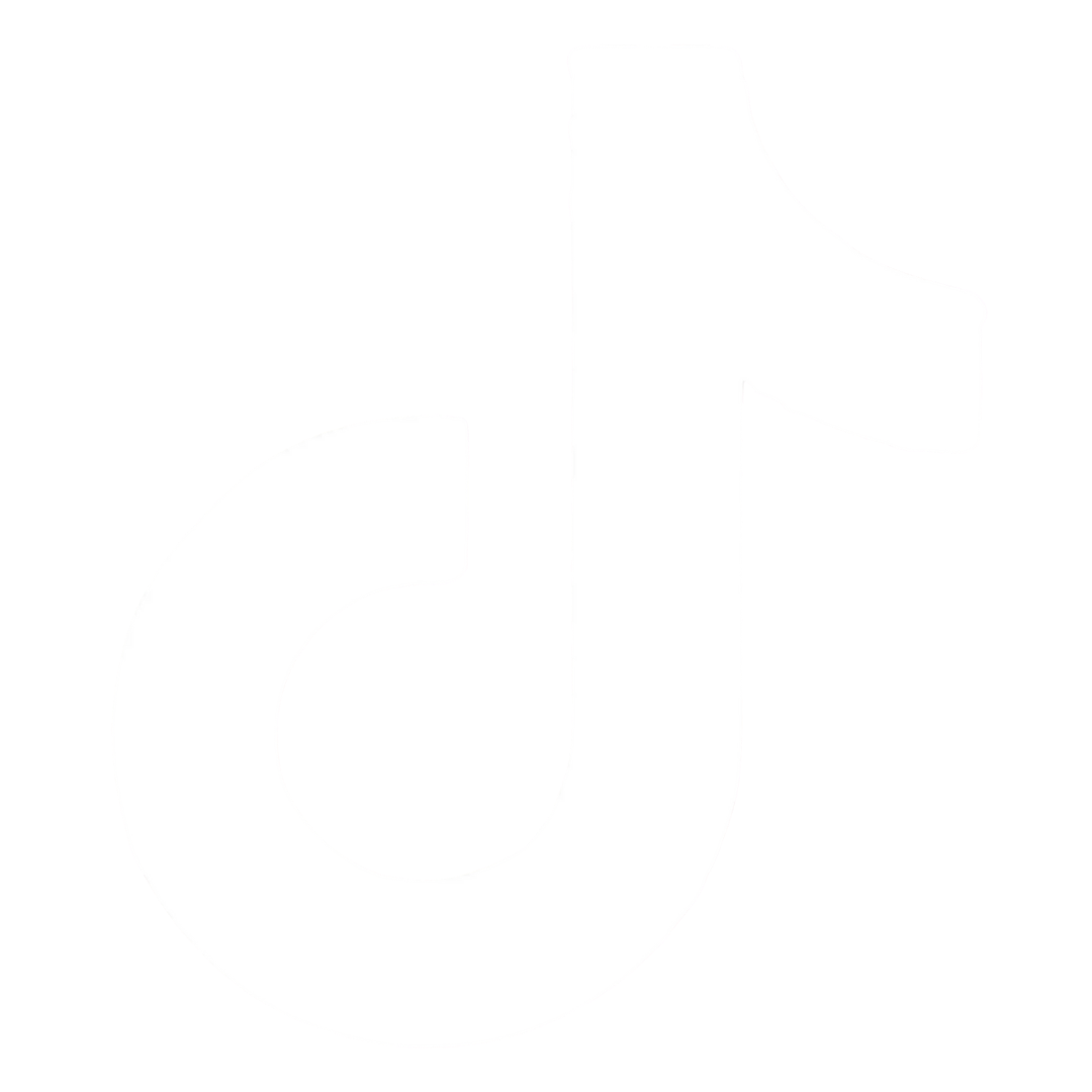 TikTok Ads