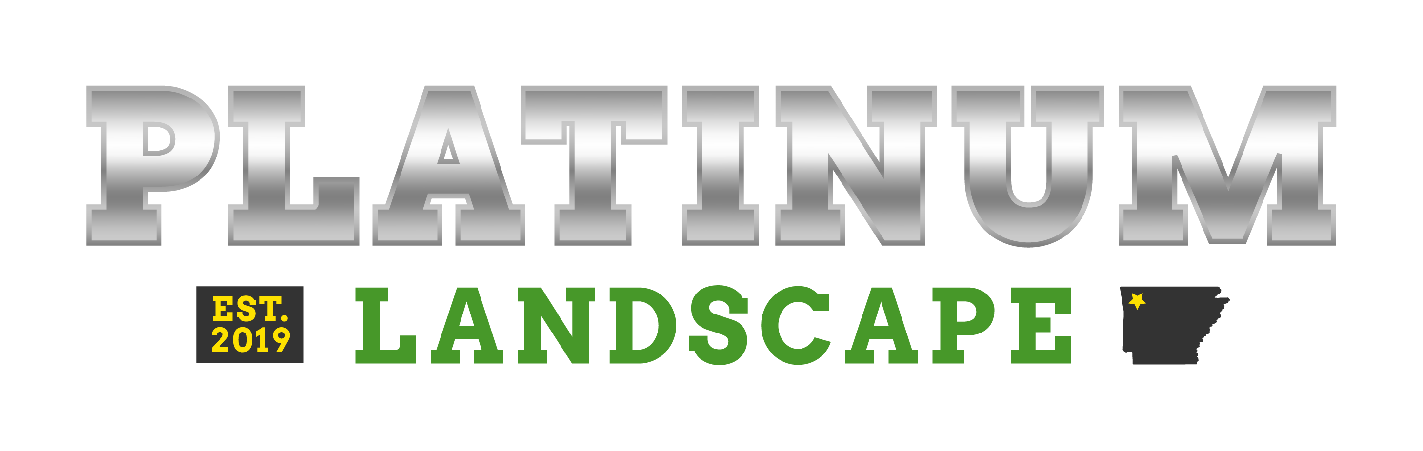 Platinum Landscape Secondary Logo