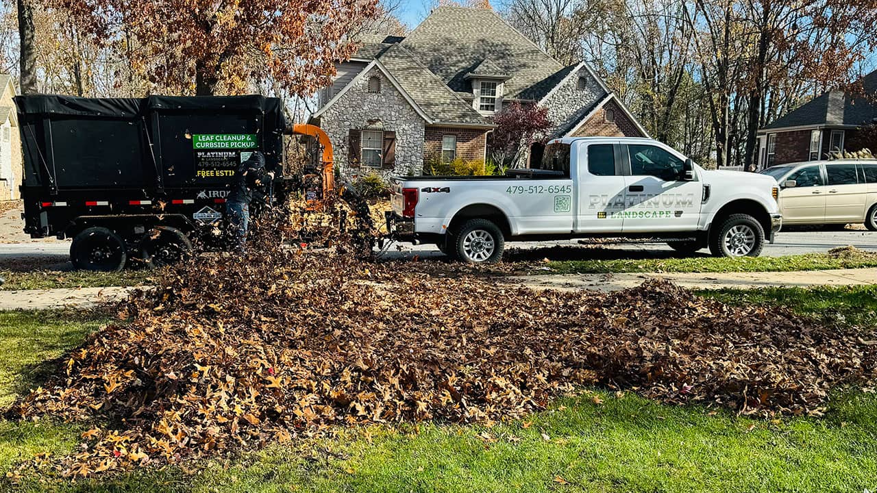 Leaf Cleanups by Platinum Landscape near me in northwest Arkansas.