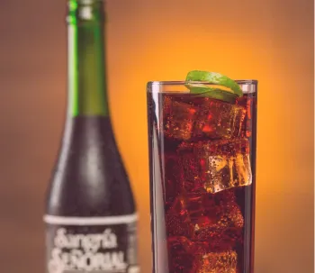A bottle and glass of soda with ice cubes