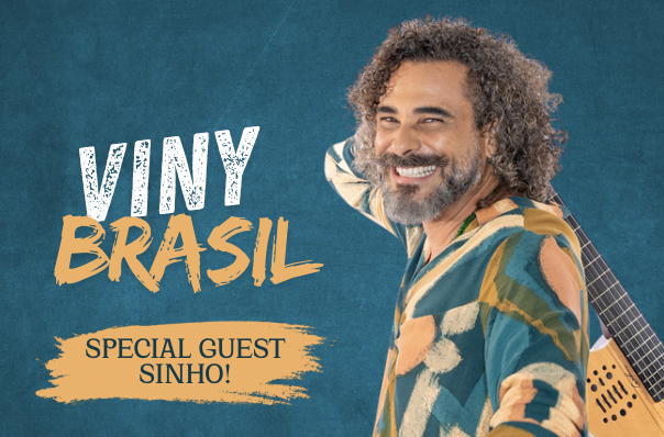 viny brasil