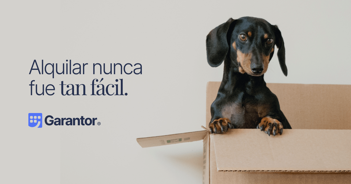 www.garantor.com.ar