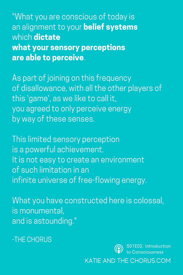 Quote: "What you are conscious of today is an alignment to your belief systems which dictate what your sensory perceptions are able to perceive. As part of joining on this frequency of disallowance, with all the other players of 'this game', as we like to call it, you agreed to only perceive energy by way of these senses. This limited sensory perception is a powerful achievement. It is not easy to create an environment of such limitation in an infinite universe of free-flowing energy. What you have constructed here is colossal, is monumental, and is astounding."