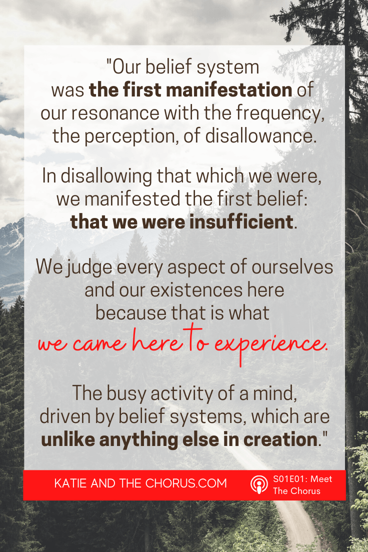 Quote: "Our belief system was the first manifestation of our resonance with the frequency, the perception, of disallowance. In disallowing that which we were, we manifested the first belief: that we were insufficient. We judge every aspects of ourselves and our existences here because that is what we came here to experience. The busy activity of a mind, driven by belief systems, which are unlike anything else in creation."