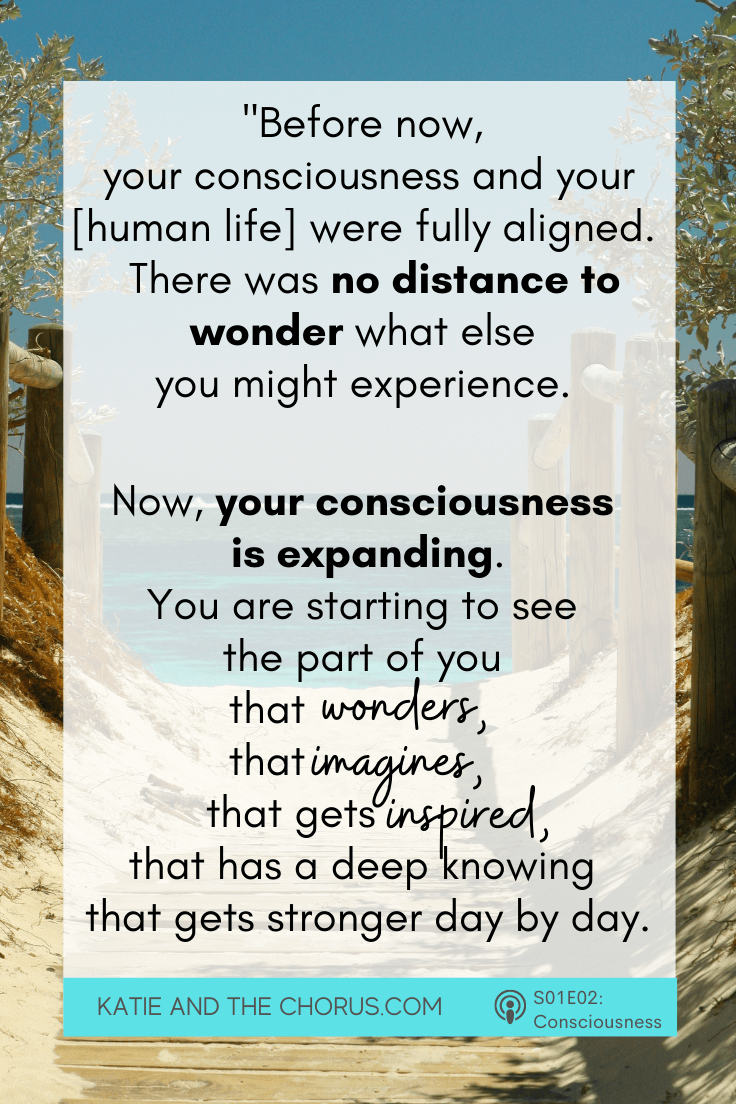 Quote: "Before now, your consciousness and your [human life] were fully aligned. There was no distance to wonder what else you might experience. Now, your consciousness is expanding. You are starting to see the part of you that wonders, that imagines, that gets inspired, that has a deep knowing that gets stronger day by day."