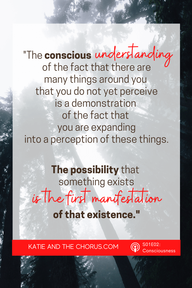 Quote: "The conscious understanding of the fact that there are many things around you that you do not yet perceive is a demonstration of the fact that you are expanding into a perception of these things. The possibility that something exists is the first manifestation of that existence."
