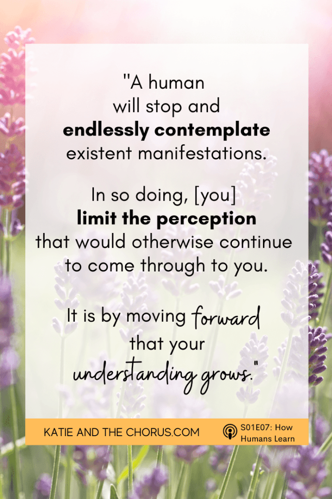 Quote: "A human will stop and endlessly contemplate existent manifestations. In so doing, [you] limit the perception that would otherwise continue to come through to you. It is by moving forward that your understanding grows."