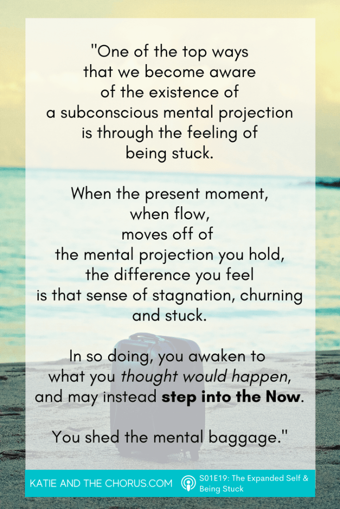 Quote: "One of the top ways that we become aware of the existence of a subconscious mental projection is through the feeling of being stuck. When the present moment, when flow, moves off of the mental projection you hold, the difference you feel is that sense of stagnation, churning and stuck. In so doing, you awaken to what you though would happen, and may instead step into the Now. You shed the mental baggage." - Katie and The Chorus