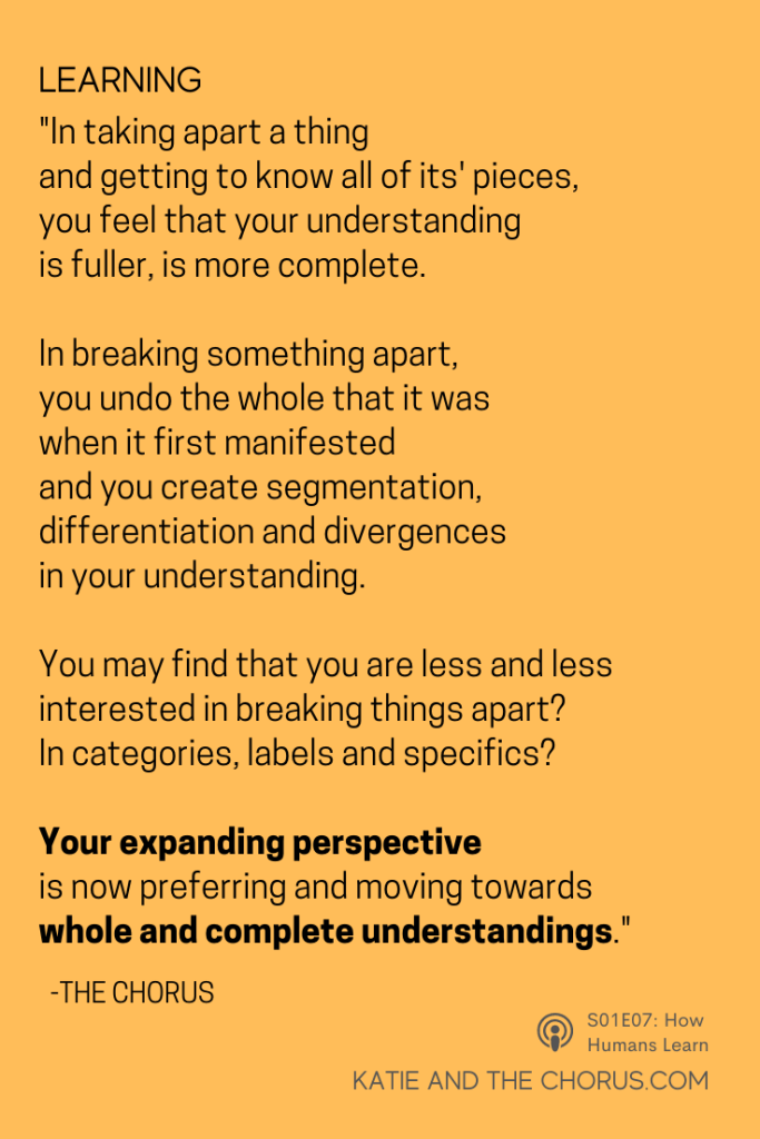 Quote: "In taking apart a thing and getting to know all of its' pieces, you feel that your understanding is fuller, is more complete. In breaking something apart, you undo the whole that it was when it first manifested and you create segmentation, differentiation and divergences in your understanding. You may find that you are less and less interesting in breaking things apart? In categories, labels and specifics? Your expanding perspective is now preferring and moving towards whole and complete understandings."