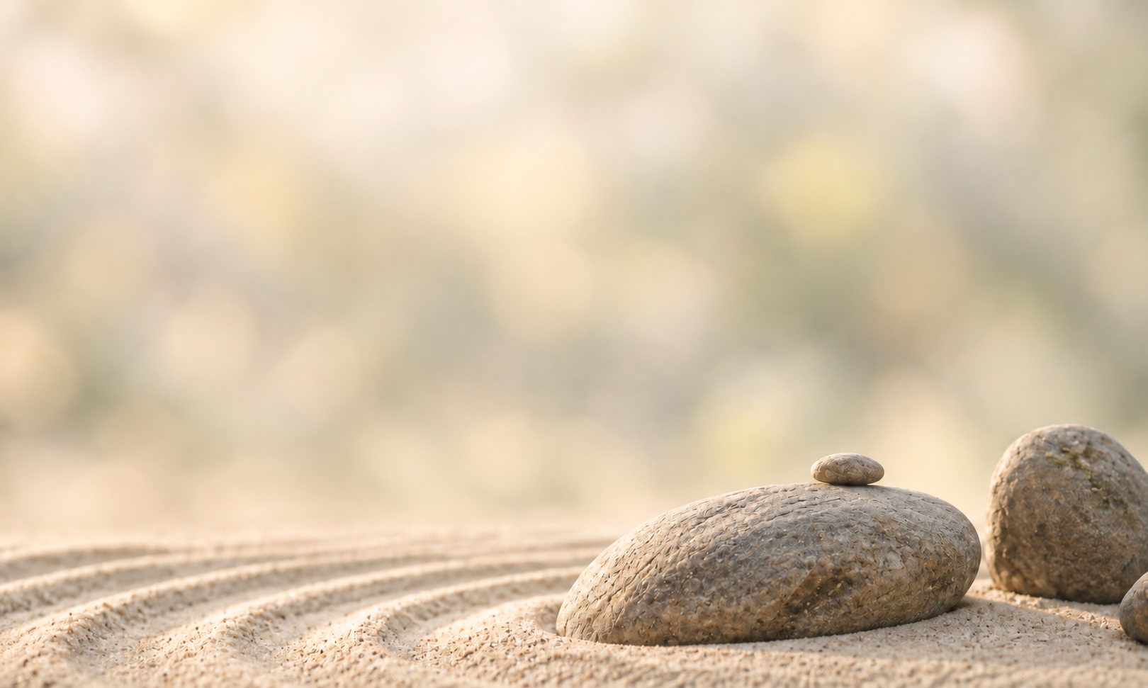 Sai screenshot 1