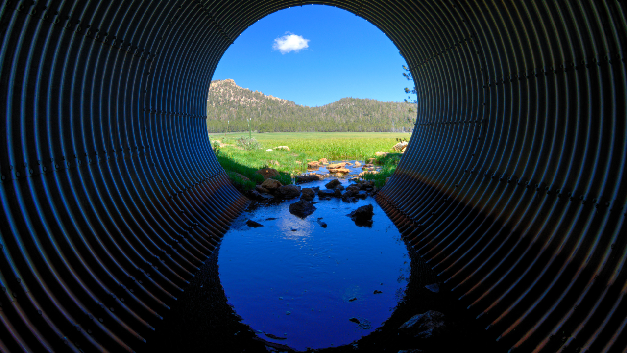How to design an early dataroom that instills investor confidence
