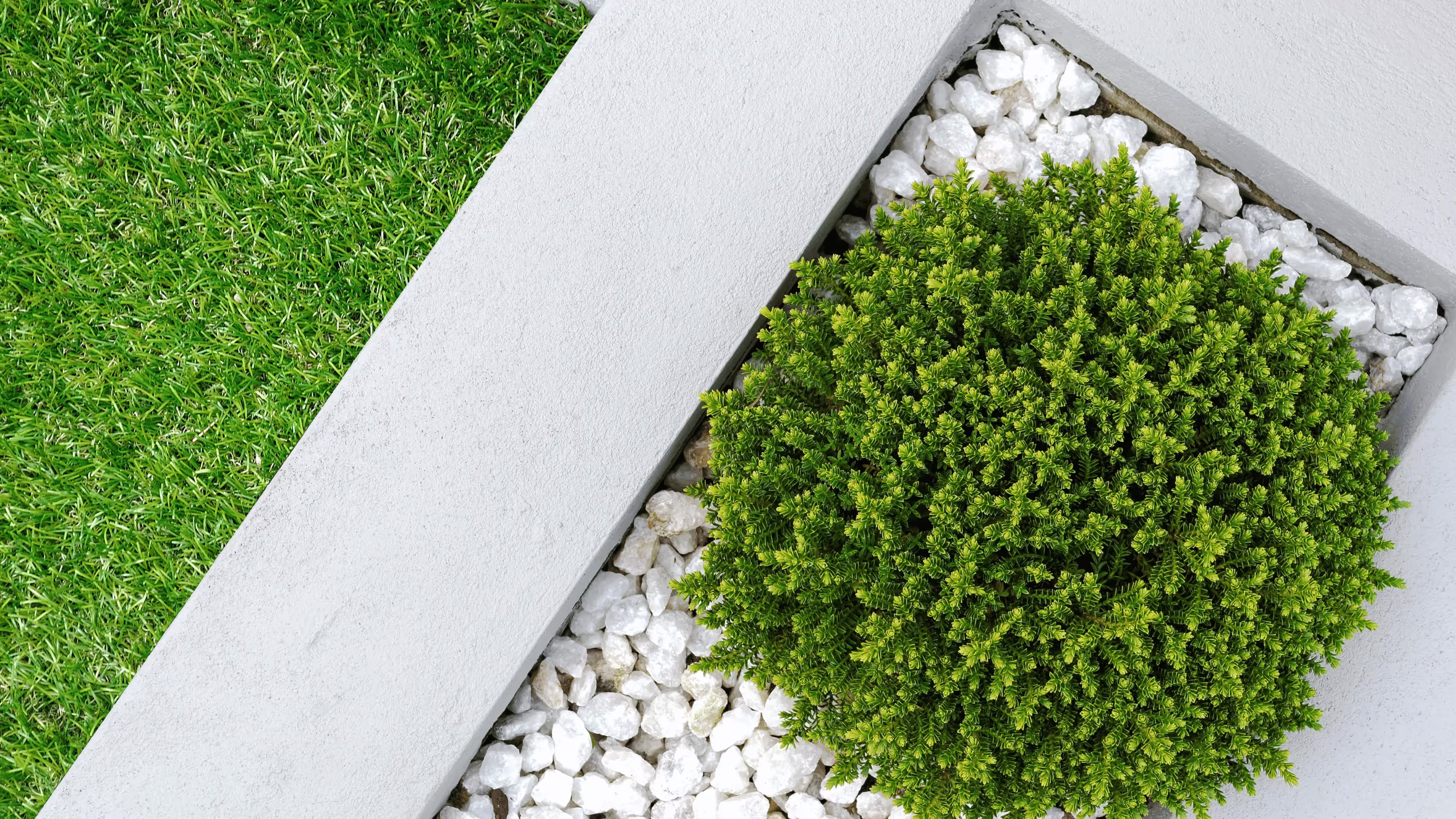 A top-down view of a lush green lawn, white stone landscaping, and a vibrant shrub, demonstrating the transformative power of expert landscape design.