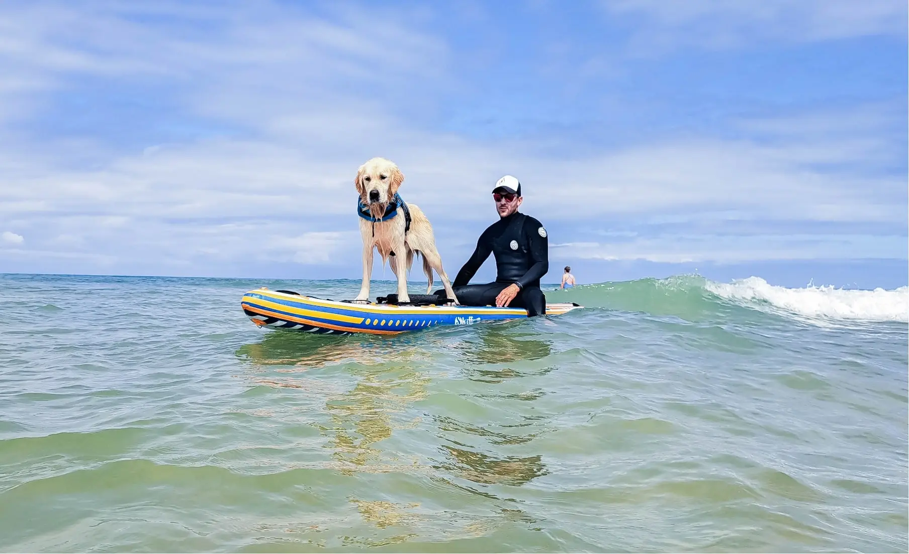 Photo d’un chien faisant du Cani-paddle dans les environs de Bordeaux avec son maître, un des éducateurs canin d’Alpha Canin