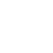 Shopify Icon