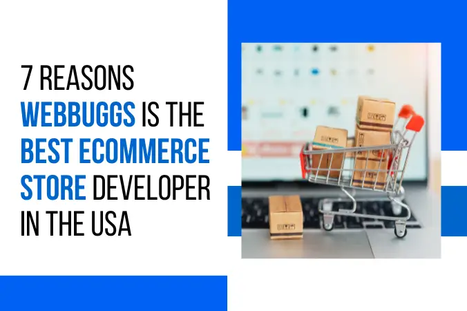 E-commerce Store Developer