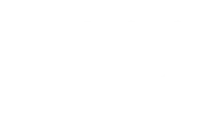 2020INC logo