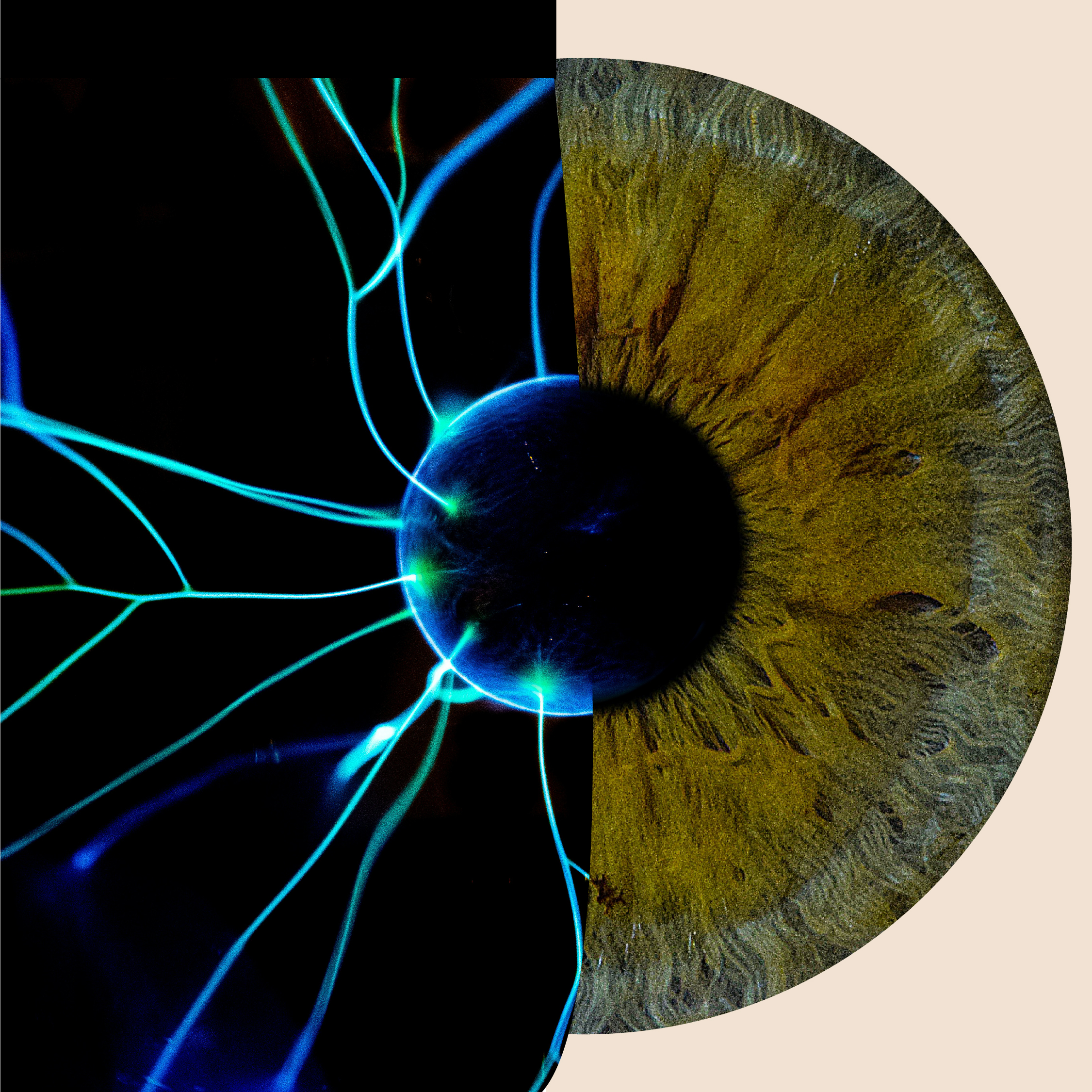 Brain Based Learning