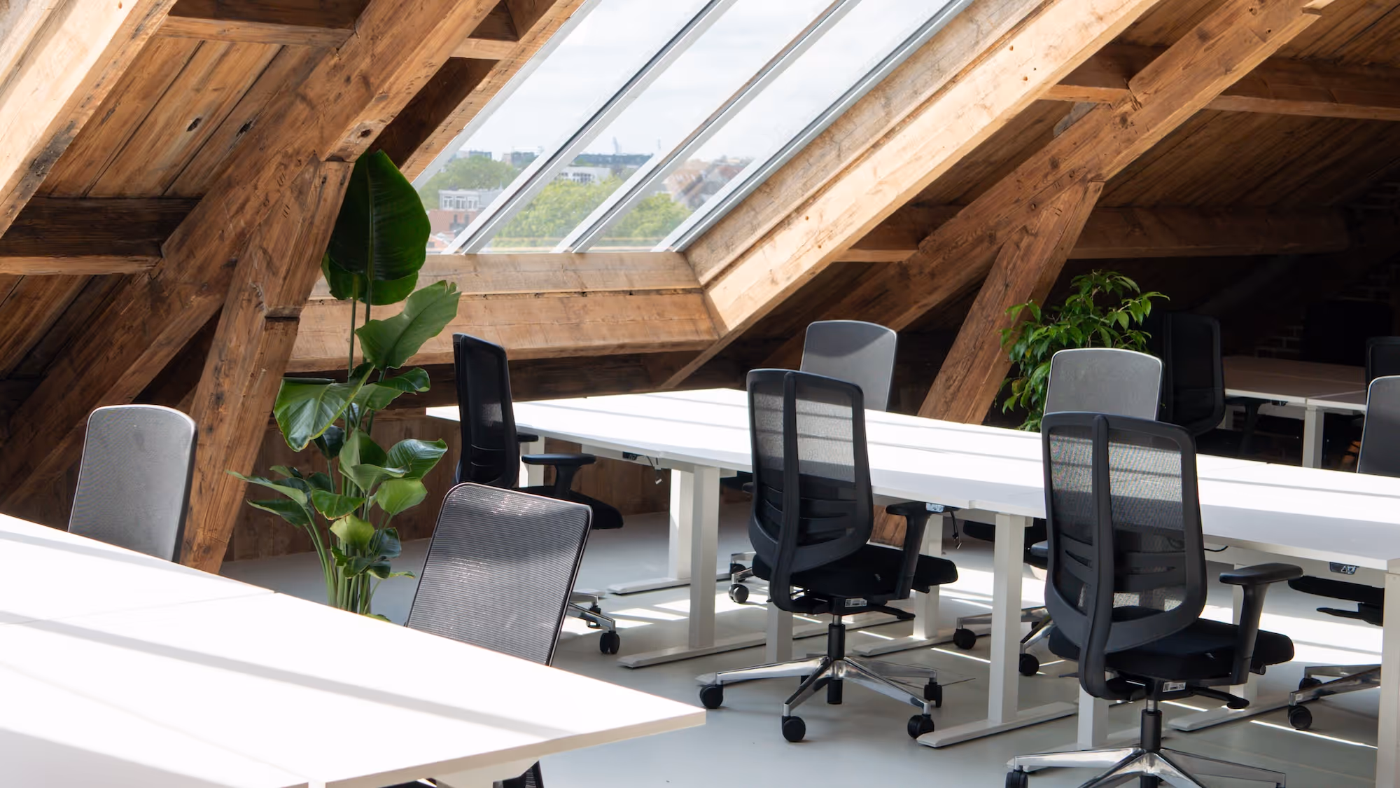 Flex office space furnished through a circular subscription model with adaptable zones for coworking tenants