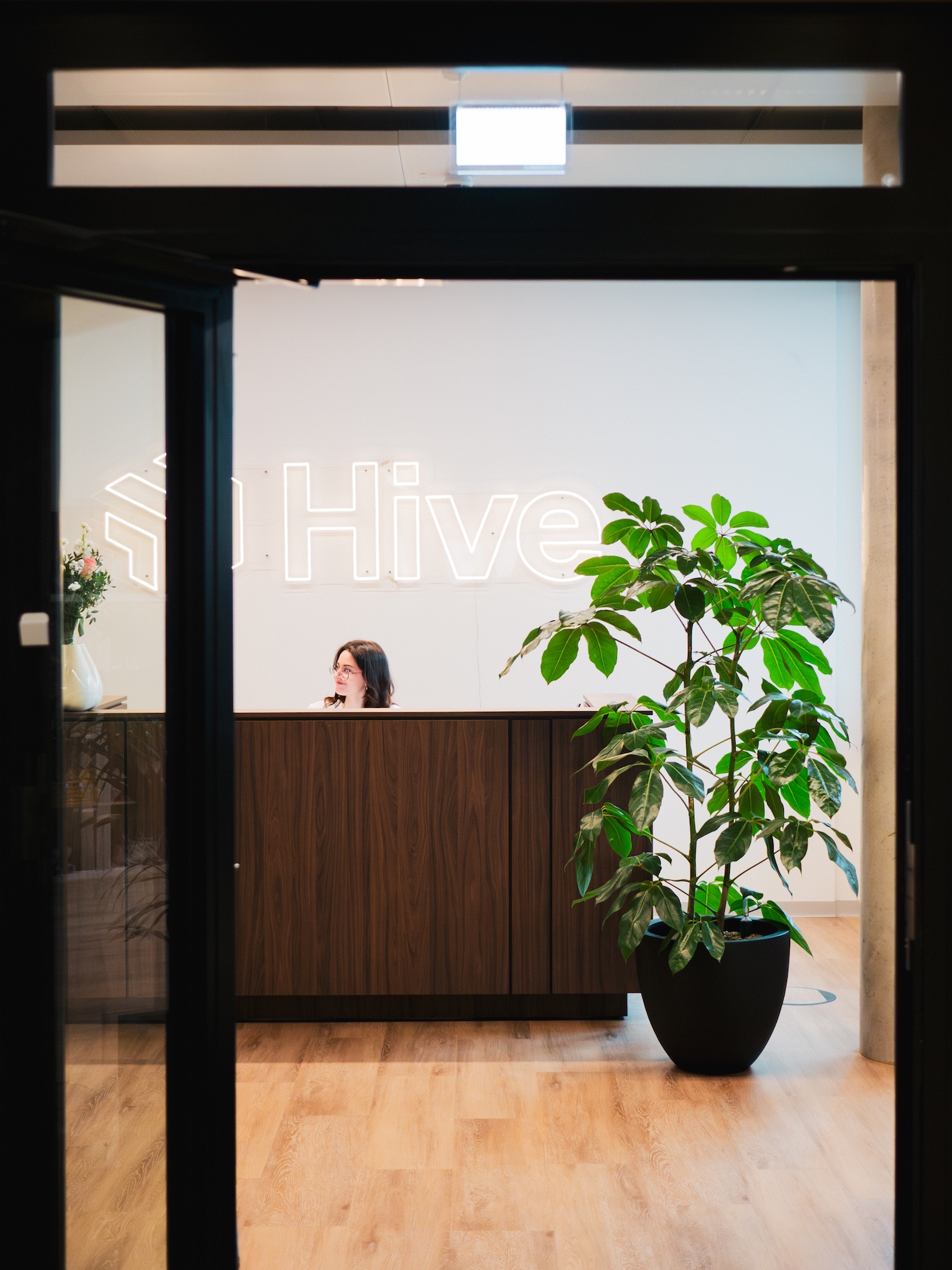 Hive's Berlin reception with illuminated logo, wood desk and a large potted plant