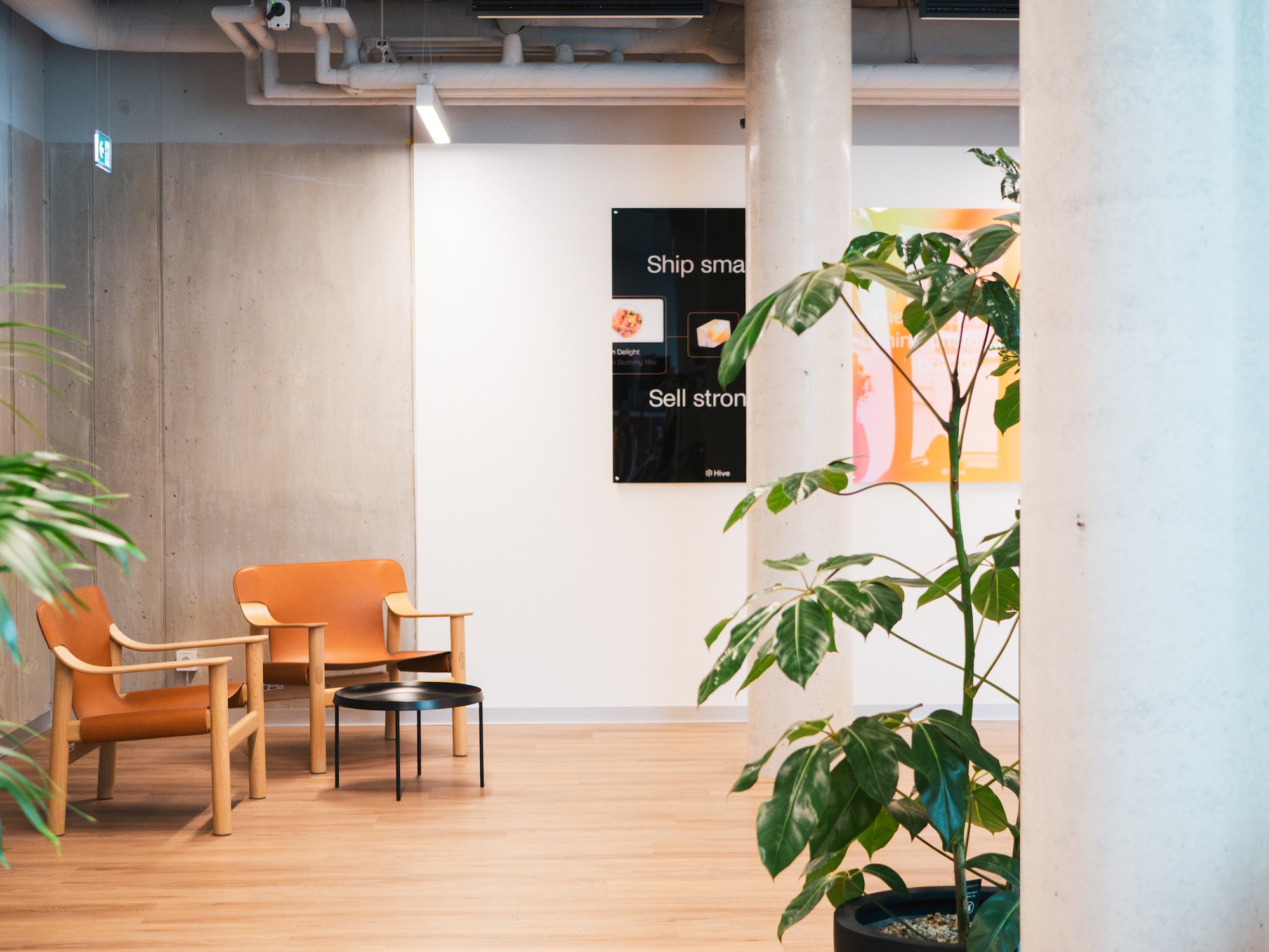 Lounge nook in Hive's Berlin office with NORNORM chairs, branded wall screens and greenery