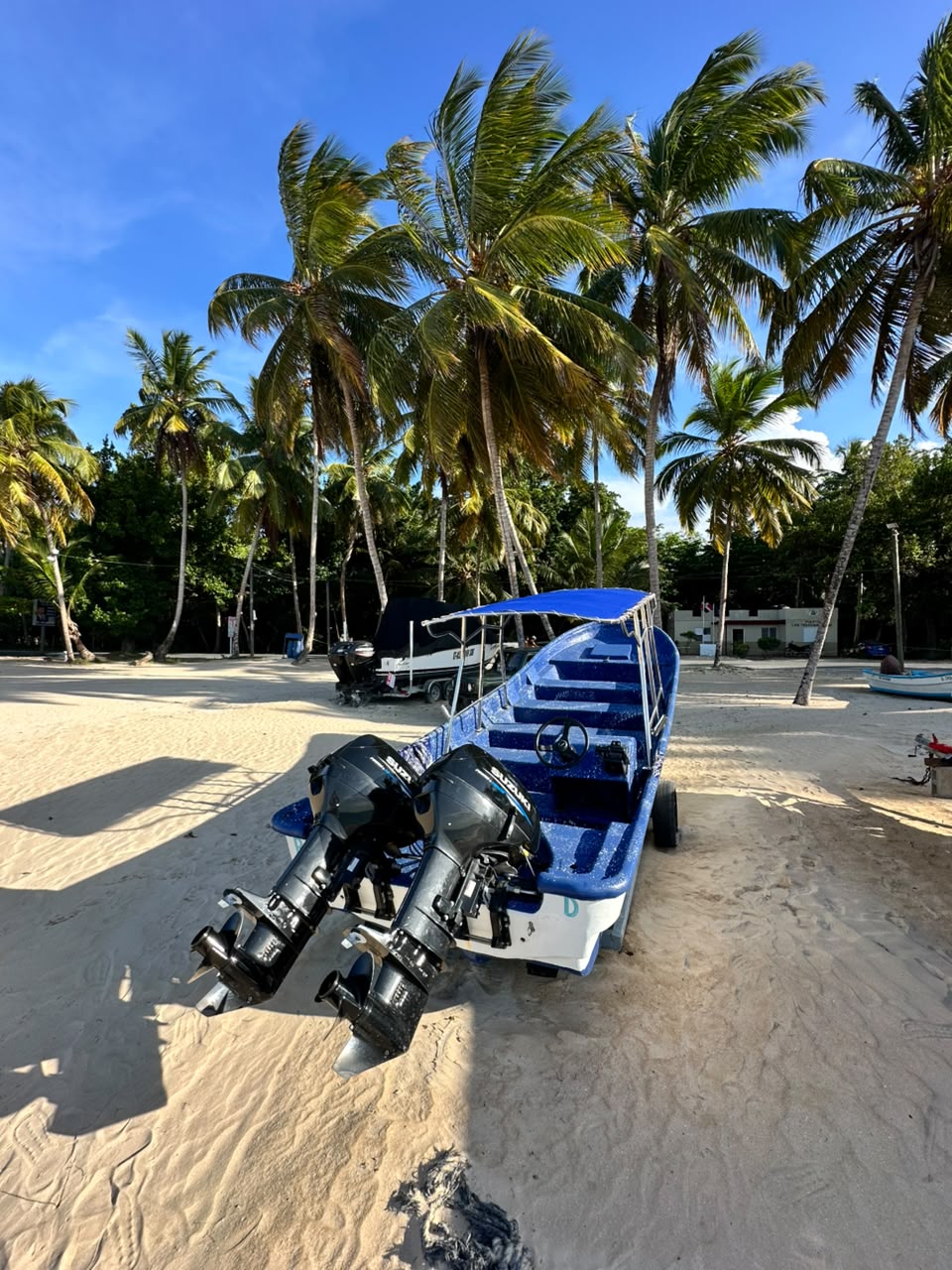 A blue and white motorboat with two black Suzuki outboard engines parked on sandy beach surrounded by tall palm trees under a clear blue sky.