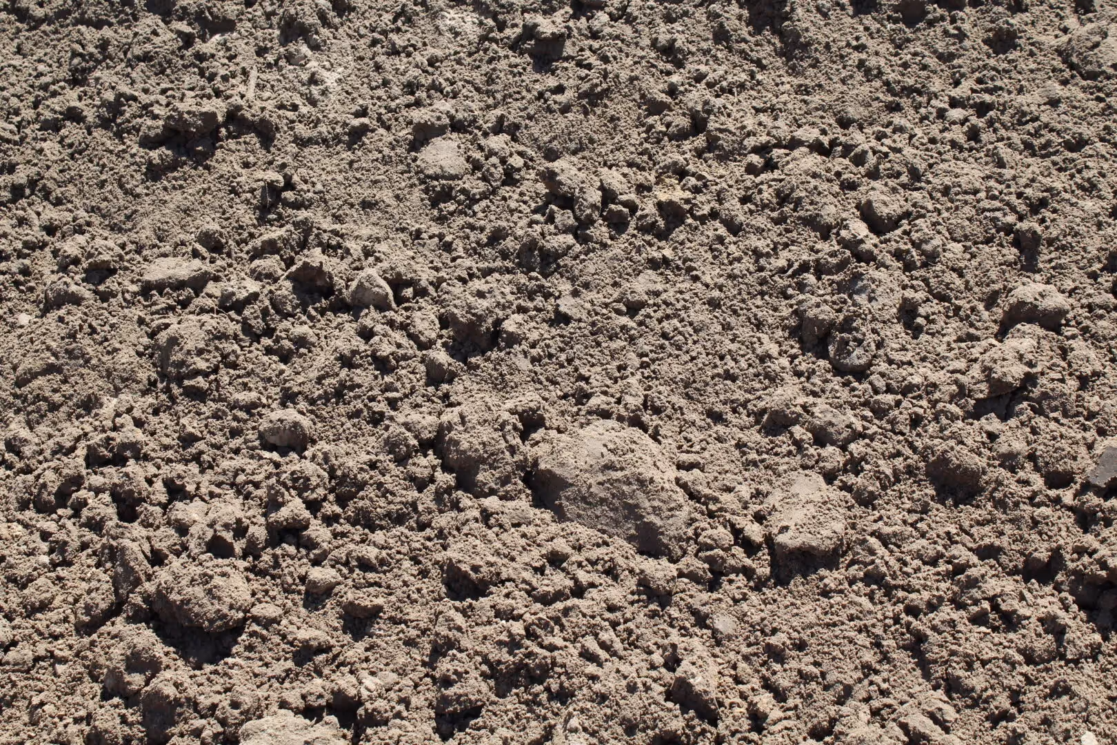 Top Soil