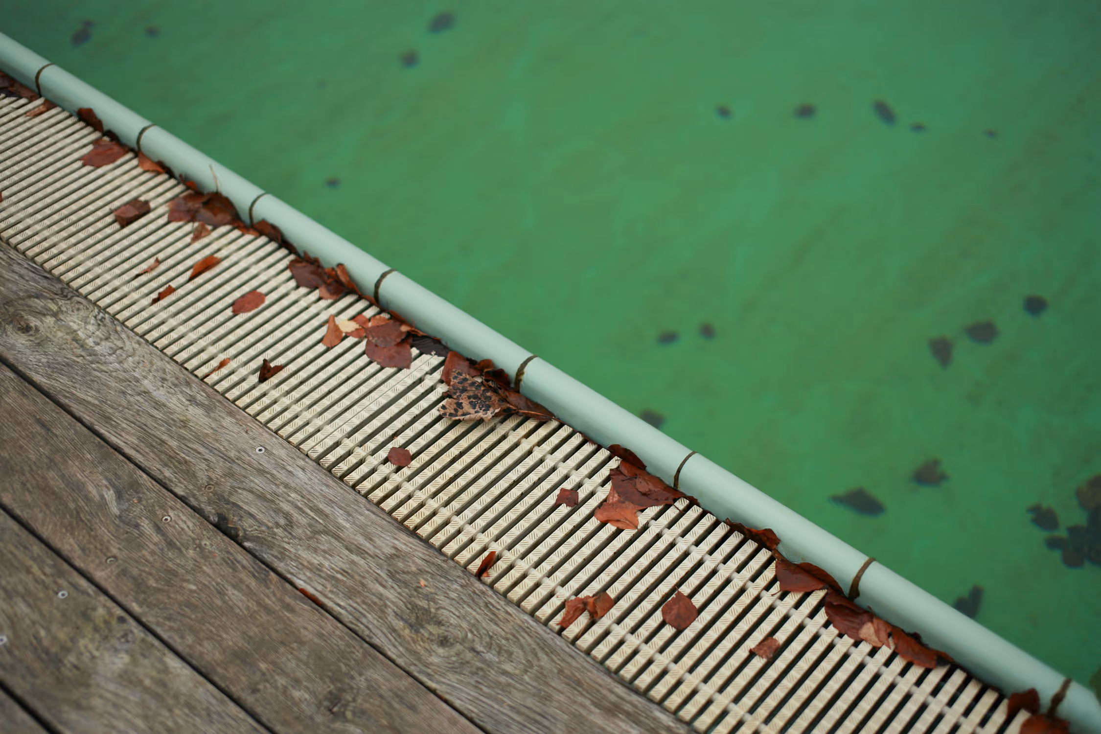 Minimalist detail of the outdoor swimming pool edge at Vejle Idrætshøjskole in Denmark, featuring scattered autumn leaves and a diagonal composition of wood, grate, and green water.
