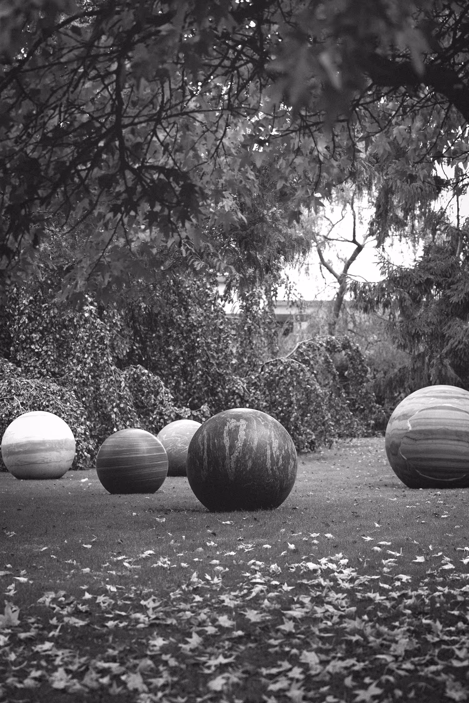 Black and white photograph of Alicja Kwade's Pars Pro Toto installation at the Louisiana Museum, featuring five large, striped, spherical stones resting on grass scattered with autumn leaves, framed by dark foliage.