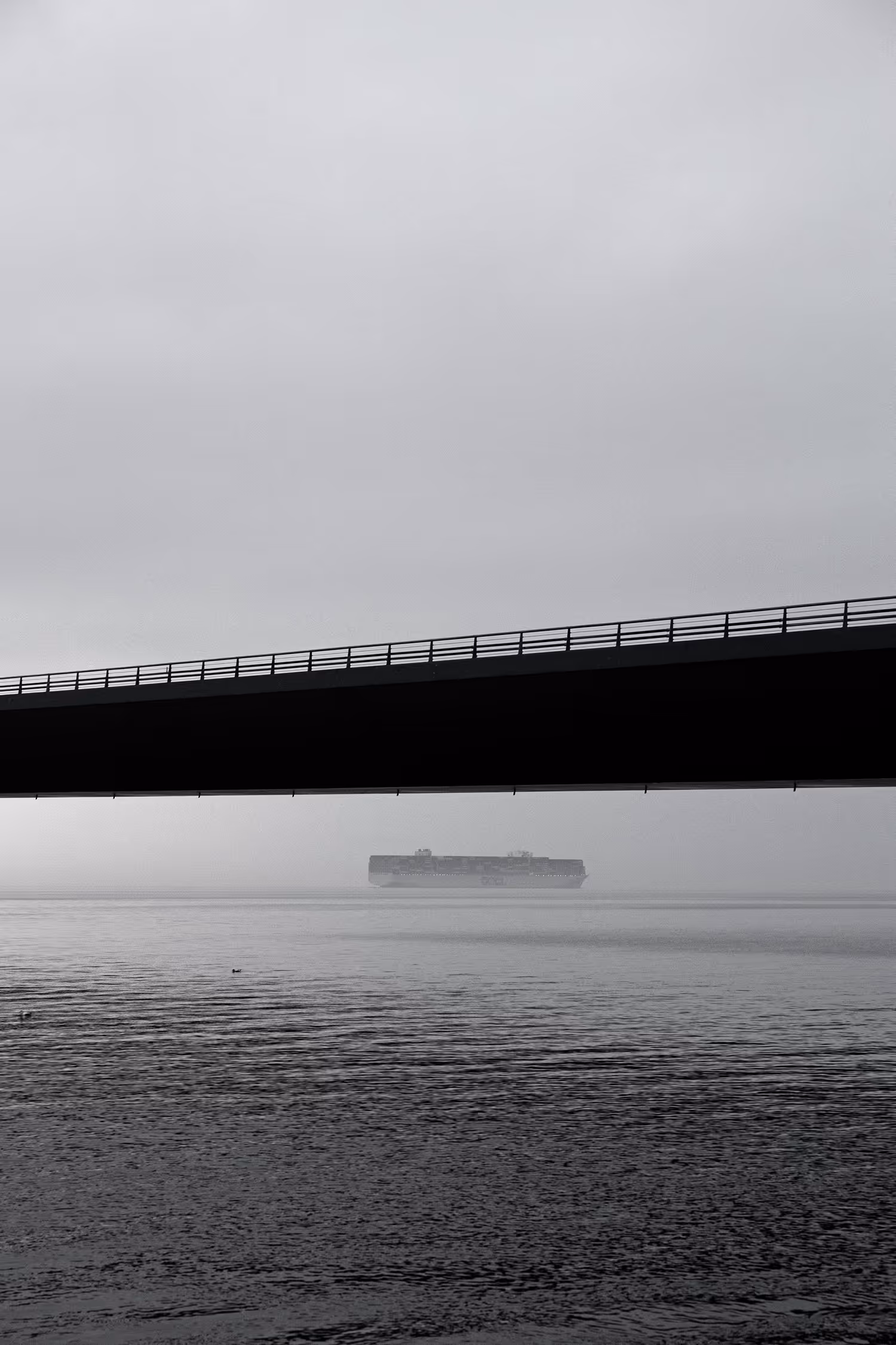 Minimalist black and white long exposure of the Great Belt Bridge in Denmark, with the bridge deck creating a strong dark horizontal line above a massive container ship visible through the fog on the sea below, emphasizing negative space and symmetry.