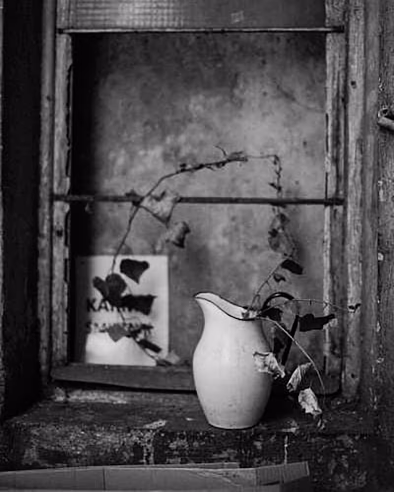 High-contrast, black and white still life photograph showing a white ceramic pitcher with dried leaves placed on a textured wooden window ledge, emphasizing the decay, shadows, and the melancholic atmosphere of the dilapidated window frame.