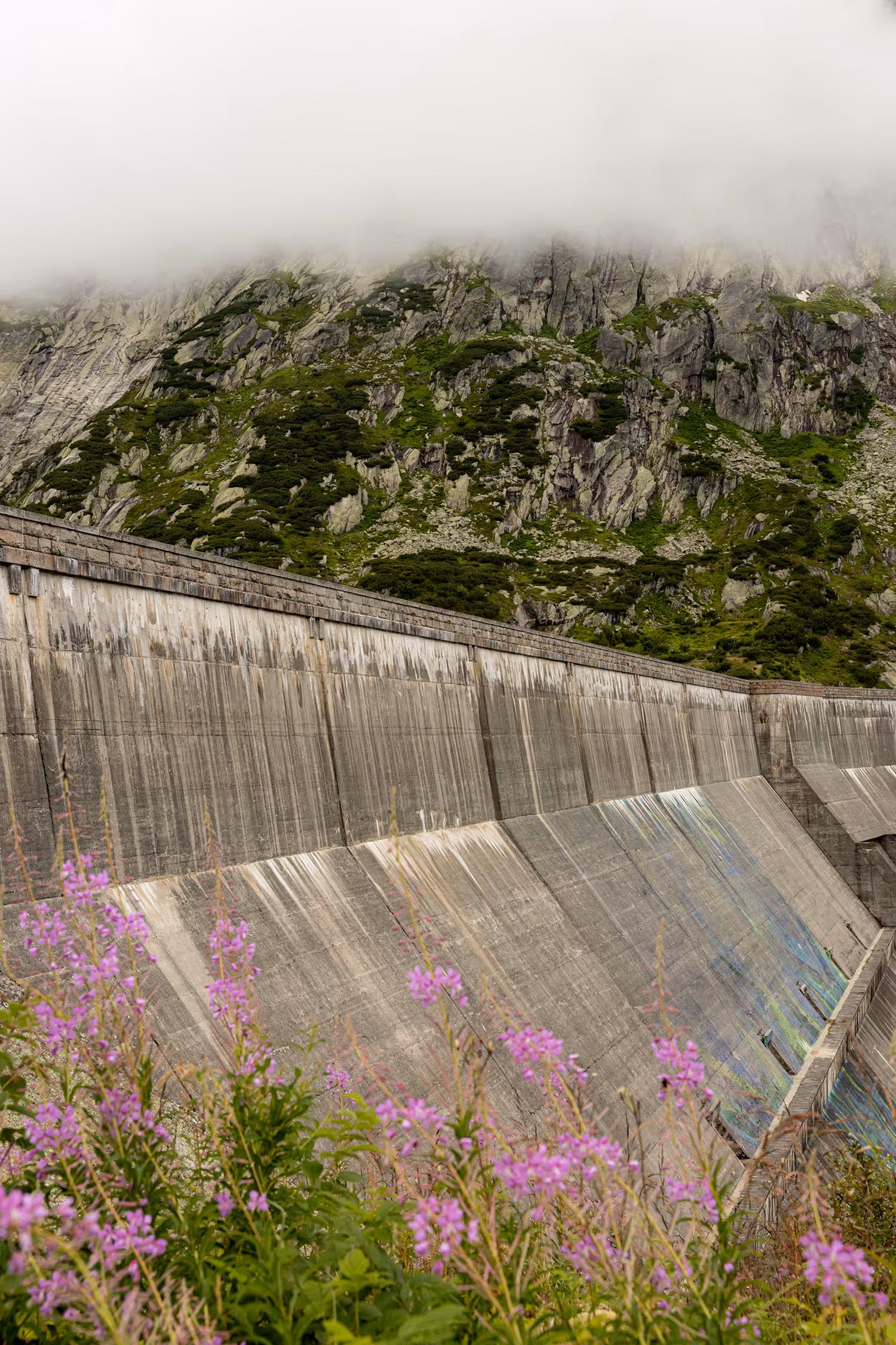 Vertical view of the massive concrete Grimsel Pass Dam in Switzerland, contrasting brutalist industrial architecture with purple wildflowers and a misty, green, rocky mountain face above.