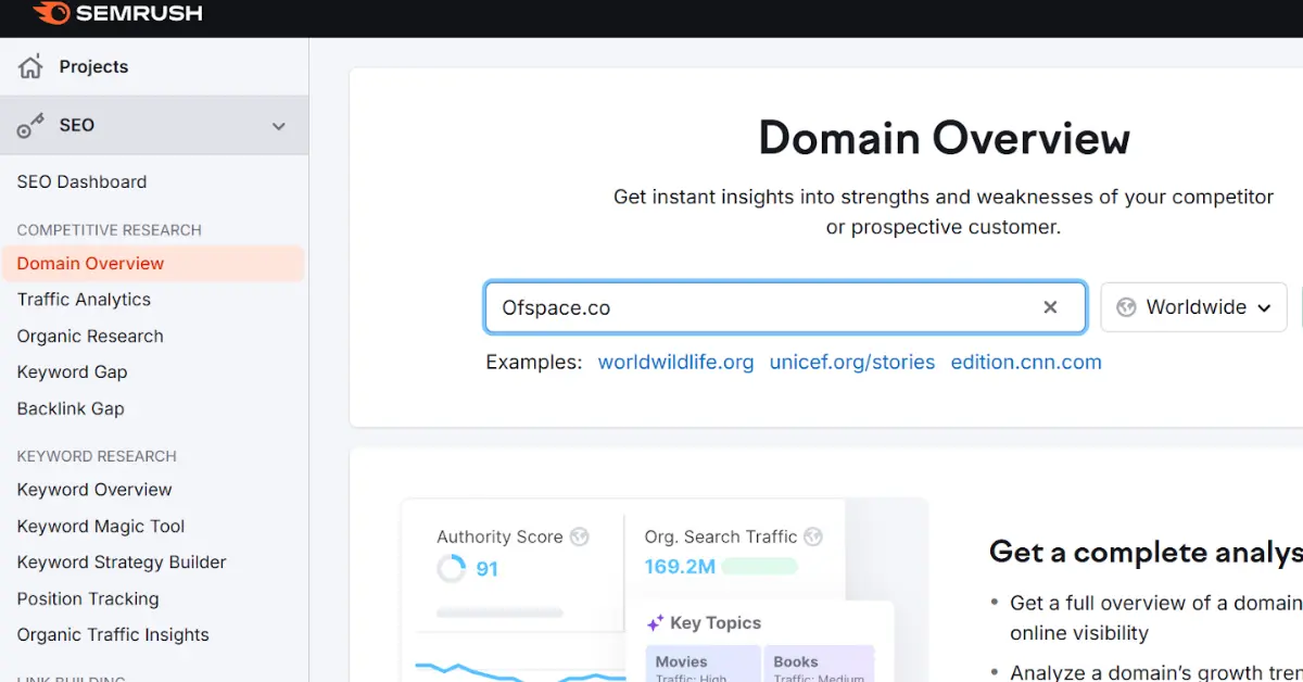 Poor SEO Performance