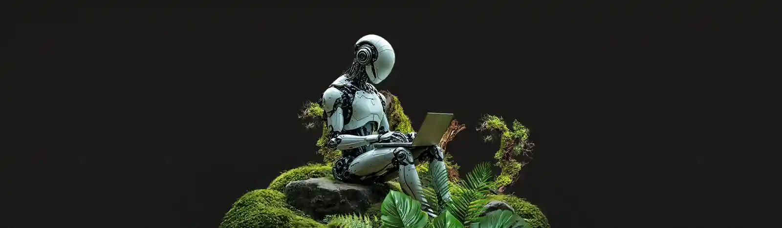 Top Biophilic Design Examples in Web Design : Where Web Goes Green