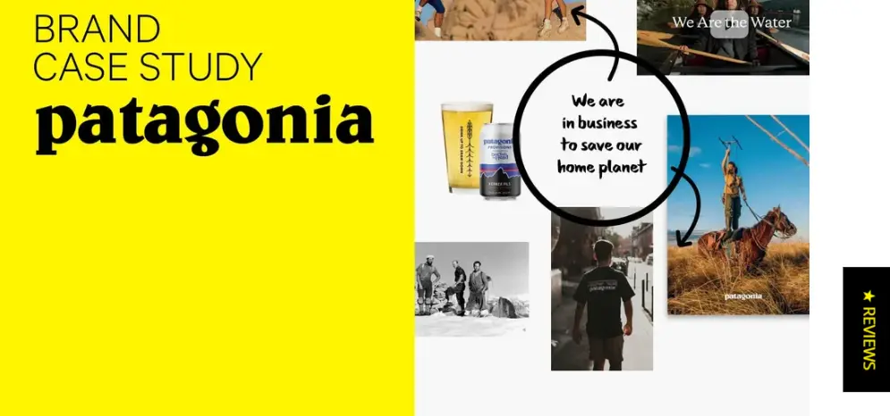 Building Trust through Purpose and Values