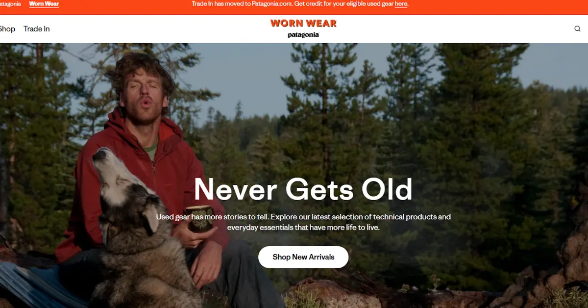 Sustainable & Purpose-Led Branding