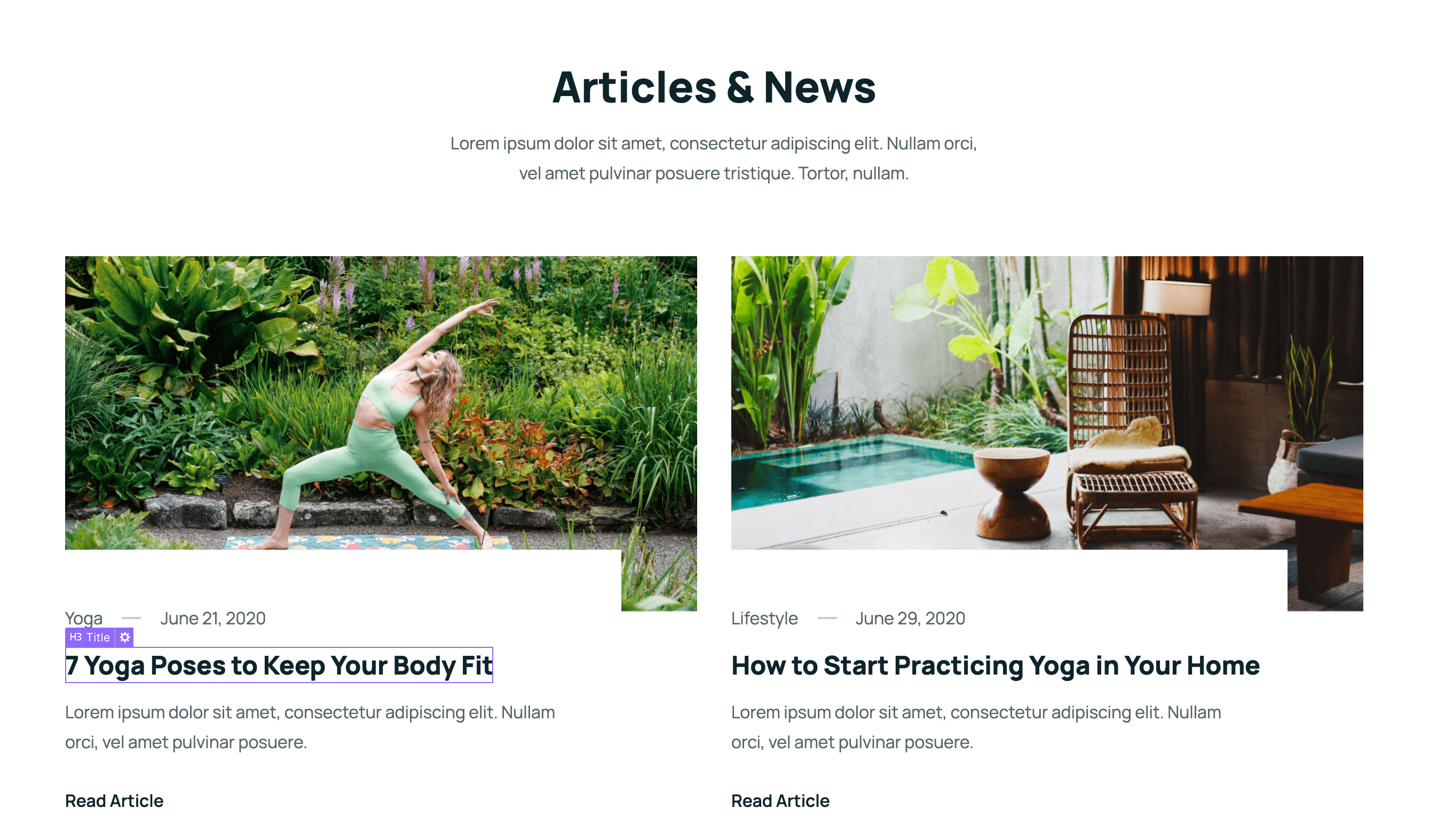 Dynamic Content CMS - Yogi Webflow Template