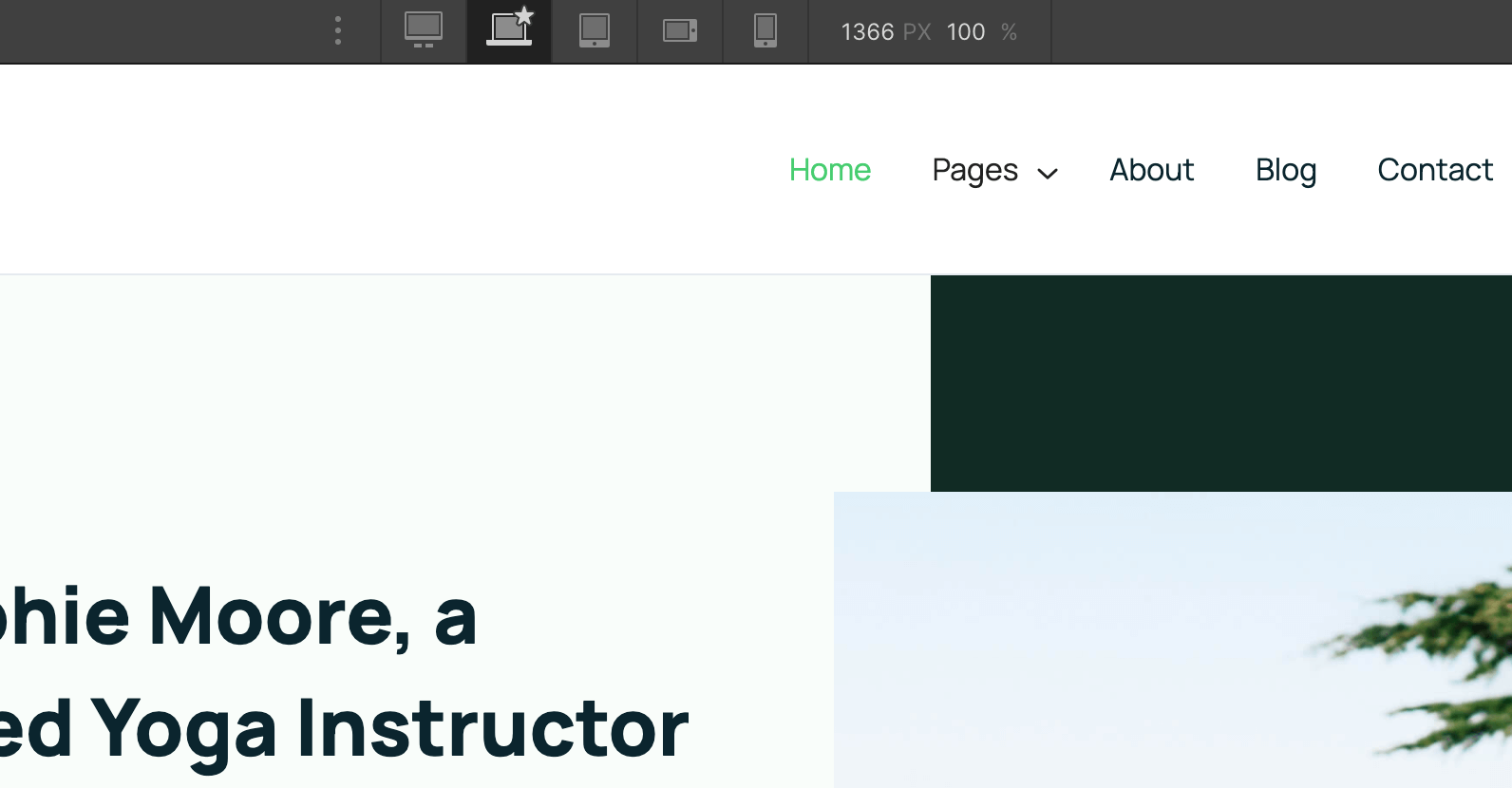 Responsive Design - Yogi Webflow Template