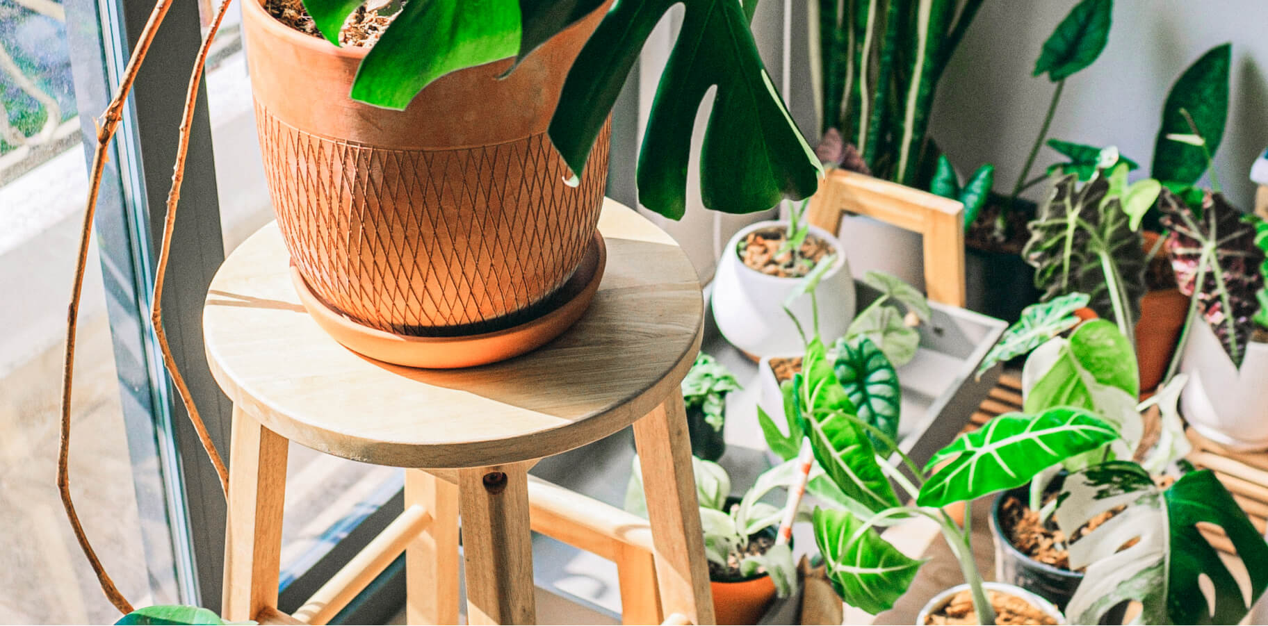 How to Create a Friendly Environment to Practice Yoga