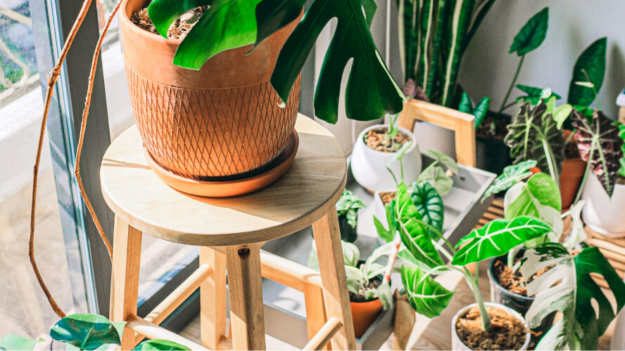How to Create a Friendly Environment to Practice Yoga