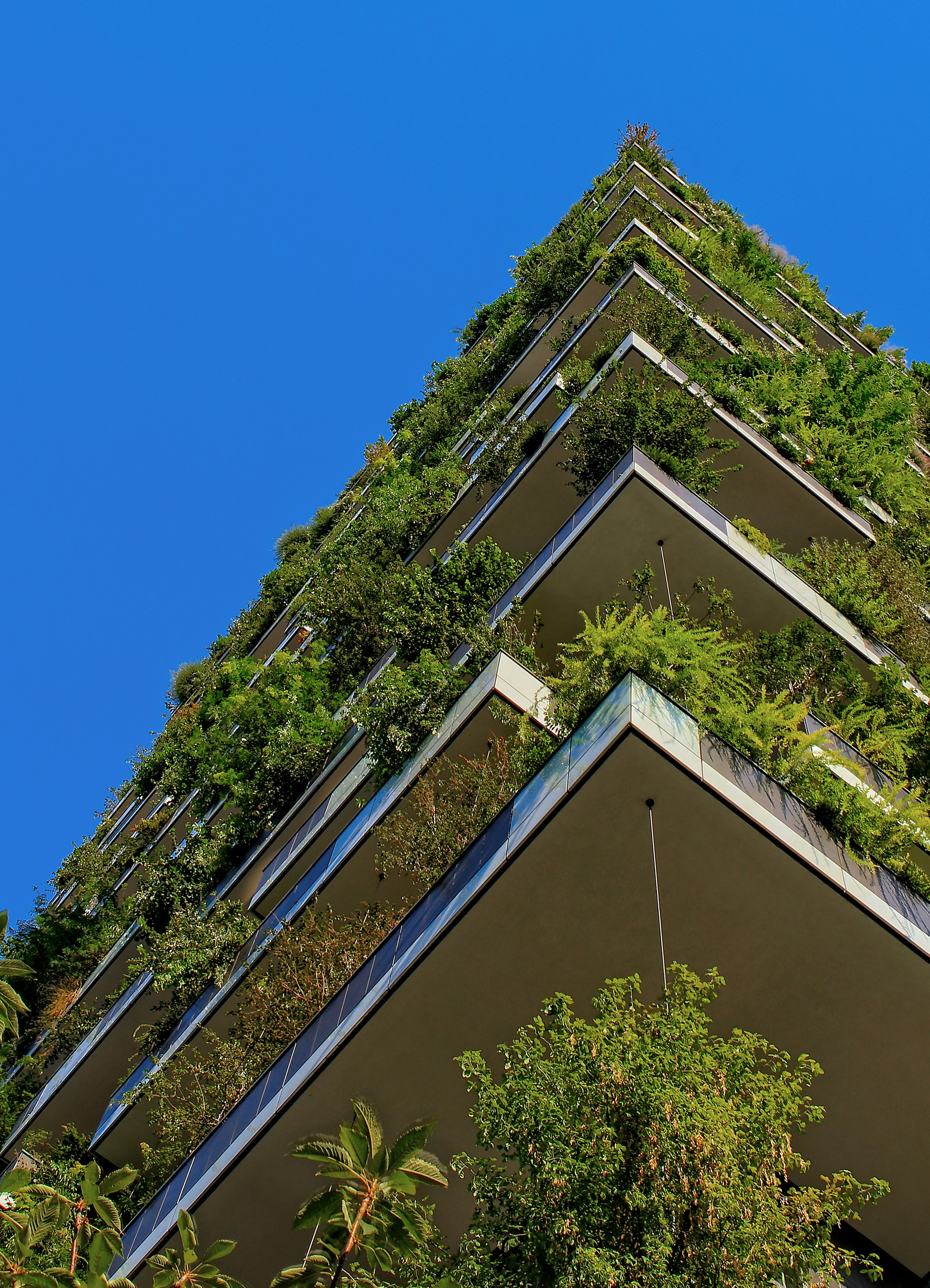 Quantum Rise Announces Sustainability Initiative and Partnership with CNaught to Offset Carbon Emissions