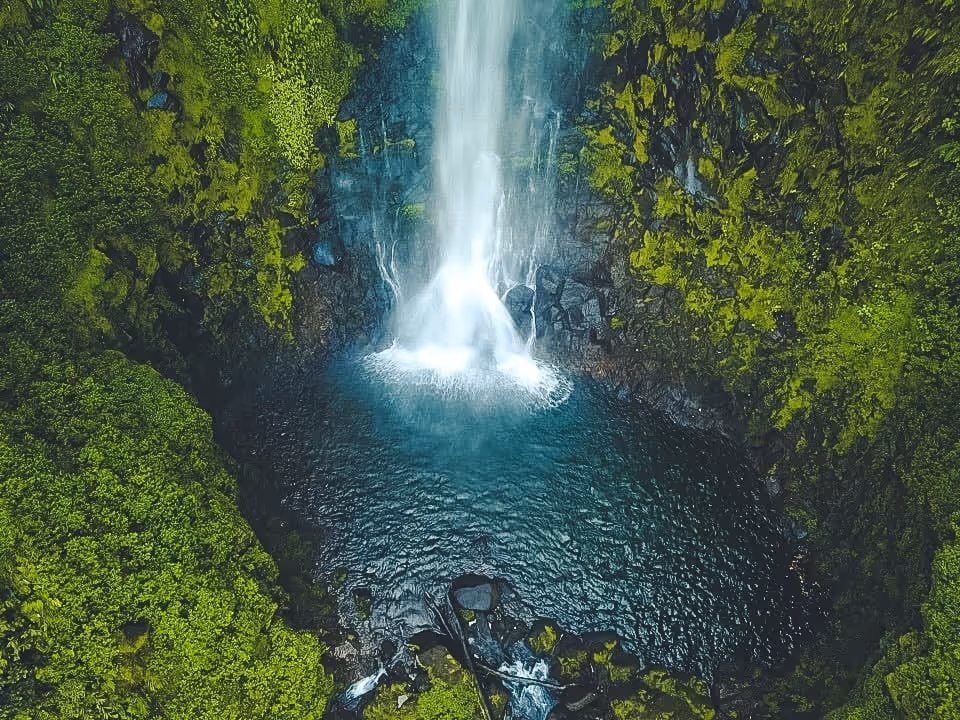 Waterfall in the jungle