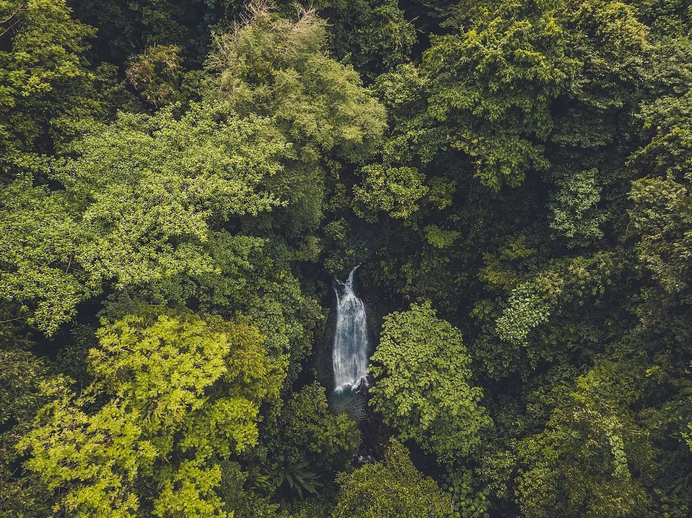 Aerial view of a waterfall in the jungle