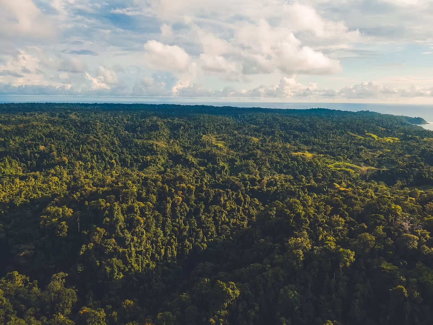 Aerial view of the sea and the jungle in Costa Rica