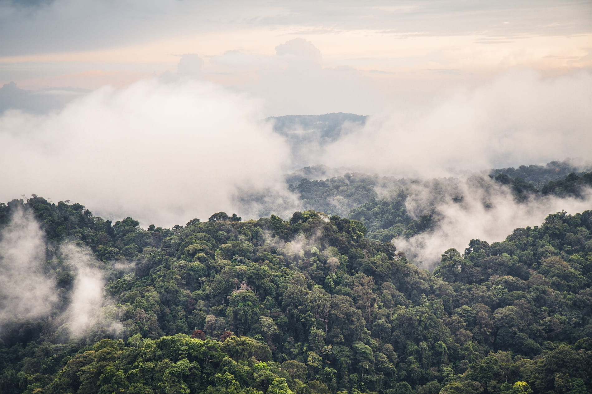 Aerial view of the Costa Rican jungle with clouds