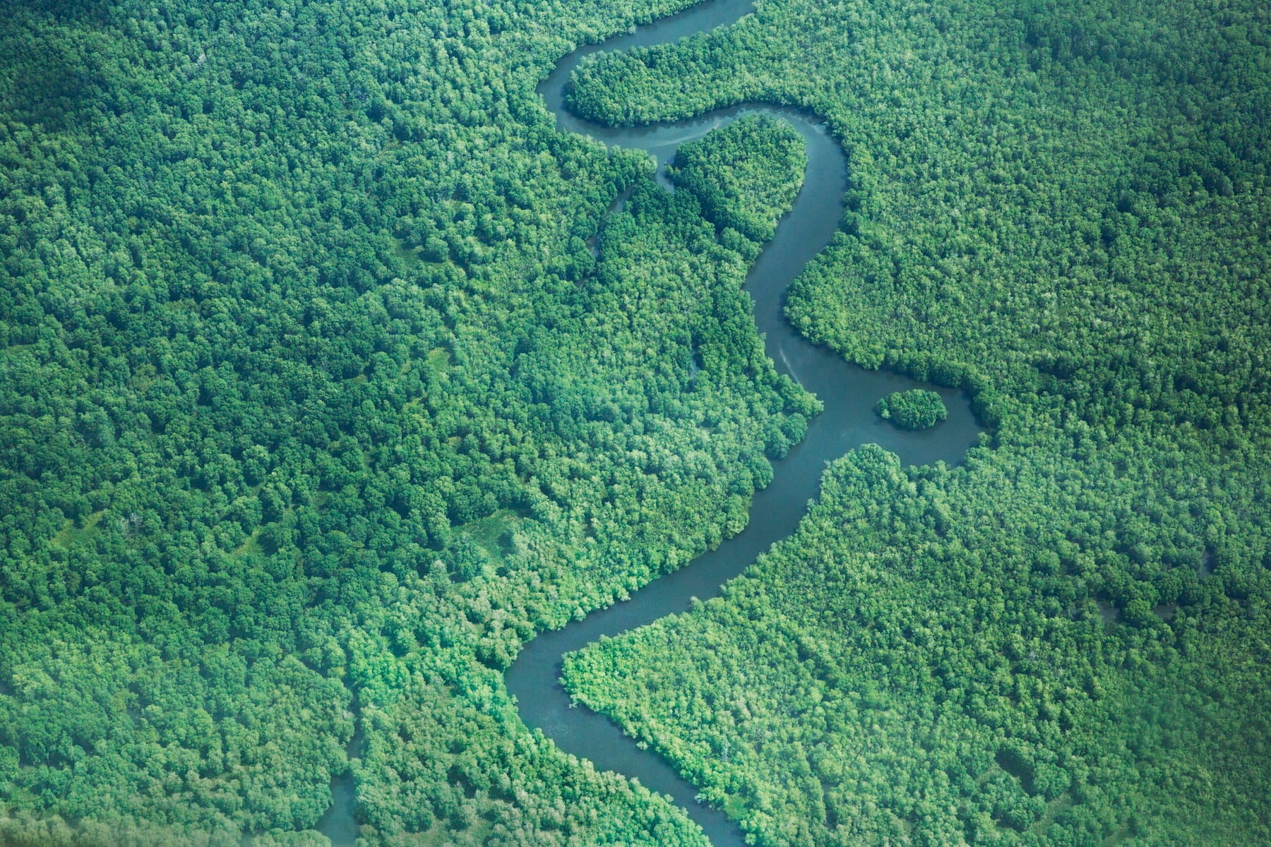 River in the Costa Rican Jungle