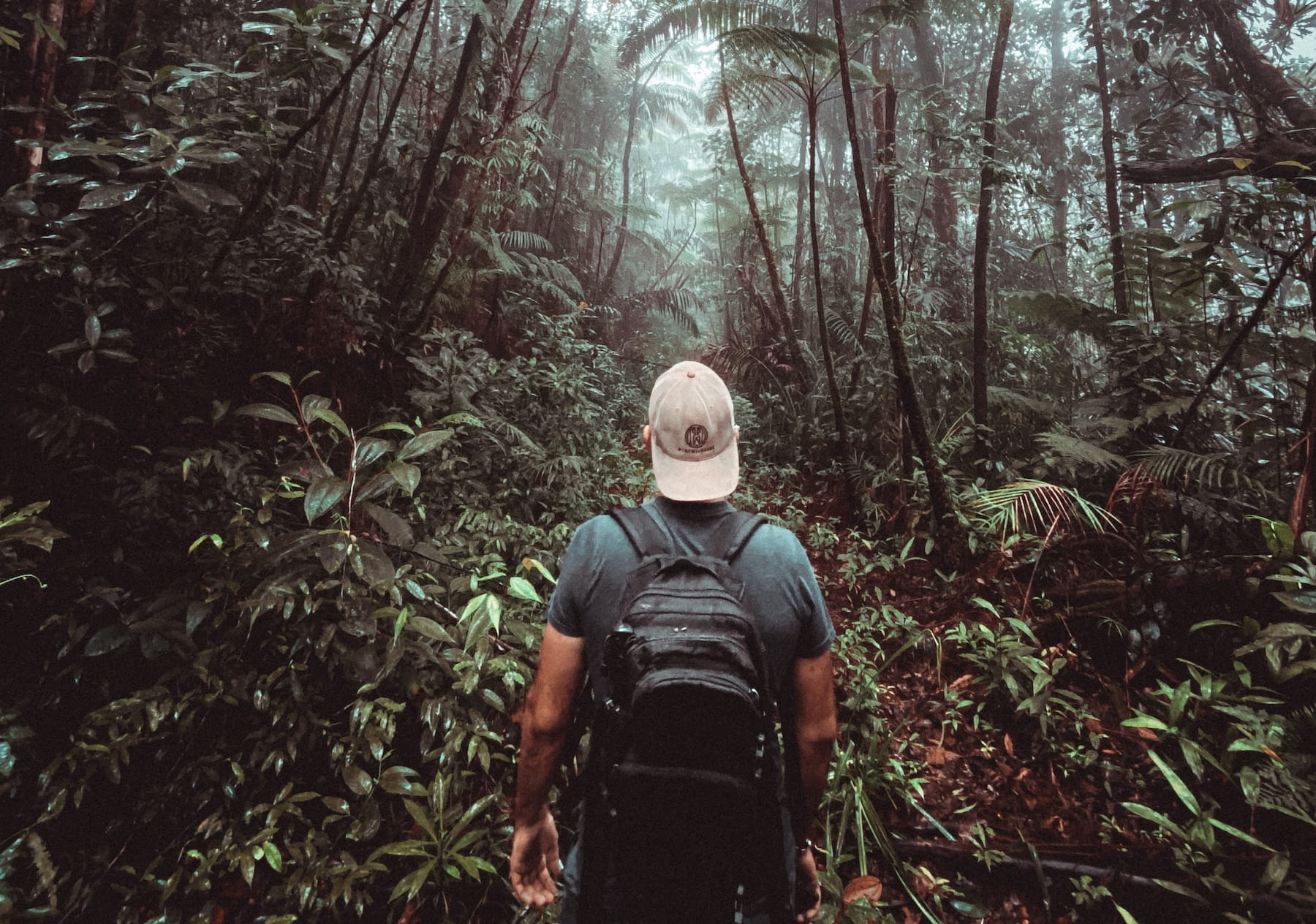 Man exploring the jungle