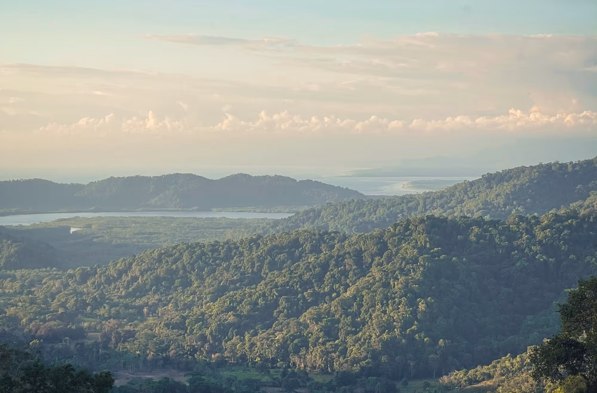 Forest and mountains in the Osa Peninsula region of Costa Rica