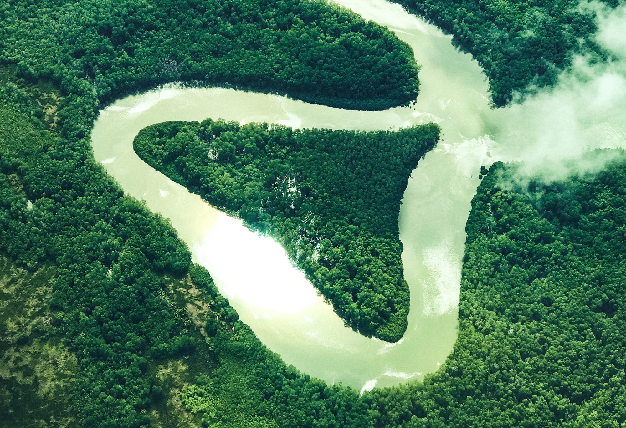River in the costa rican jungle